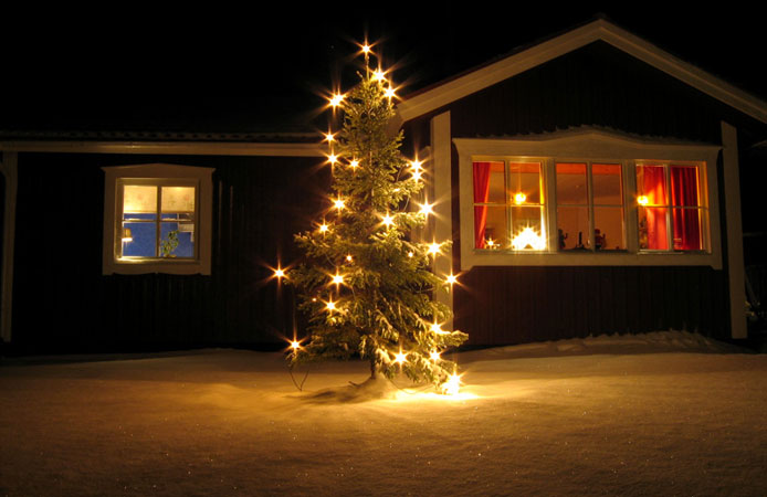 15 Free Christmas Web Element and Website Template 4