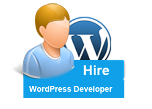 Useful Guidelines to Hire a Proficient WordPress Developer 1