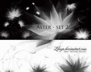 Aster set