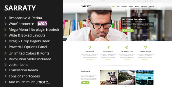 20 Top-rated Premium Responsive Wordpress Theme 10