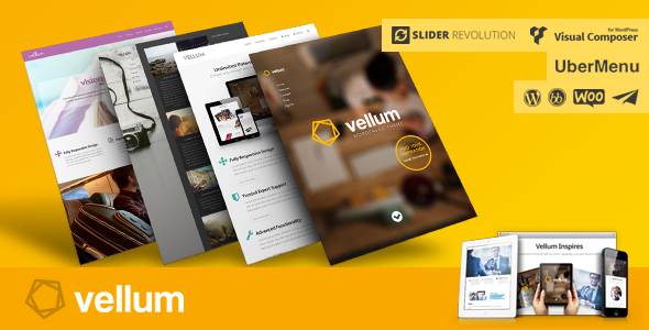 20 Top-rated Premium Responsive Wordpress Theme 19