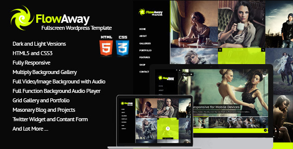 20 Top-rated Premium Responsive Wordpress Theme 6
