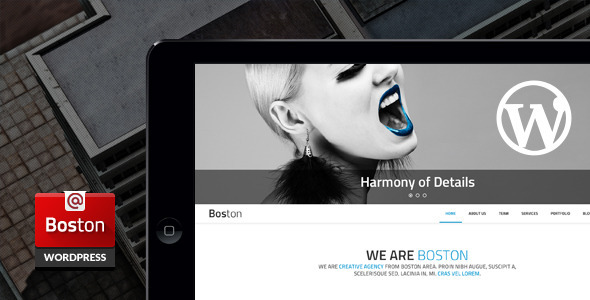 20 Top-rated Premium Responsive Wordpress Theme 7