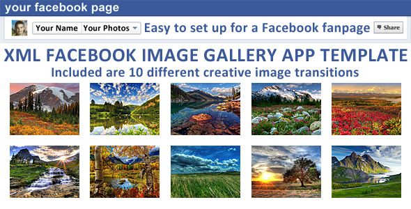 A Collection of Modern Type Image Gallery Resource 2