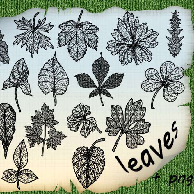10 Most Useful Set of Free Photoshop Brushes 3
