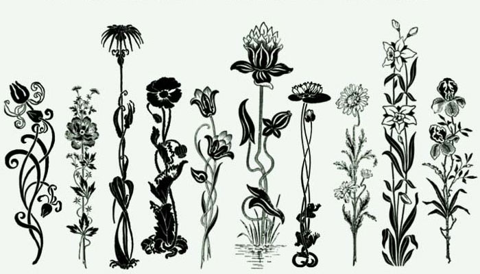 10 Most Useful Set of Free Photoshop Brushes 5