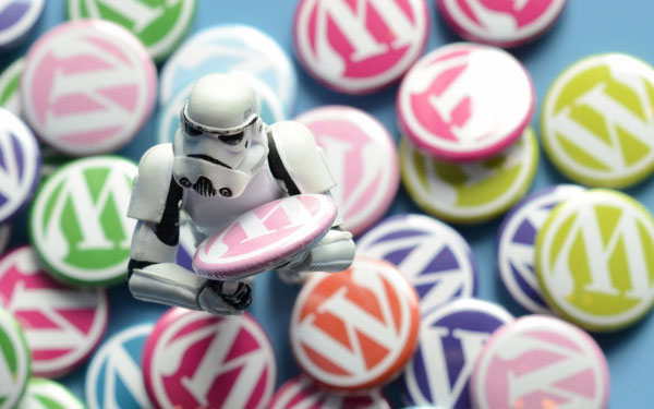 How to Protect Your WordPress Pages
