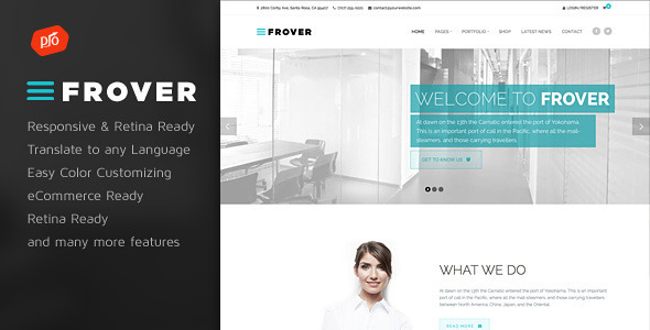15 Responsive Free and Premium Wordpress Theme 12
