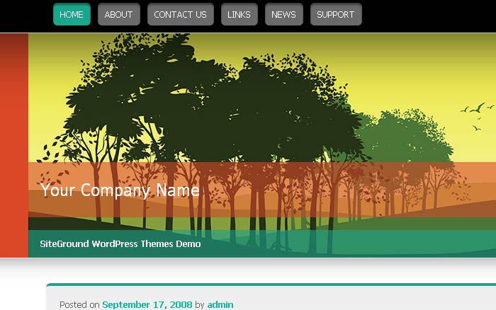 15 Responsive Free and Premium Wordpress Theme 5