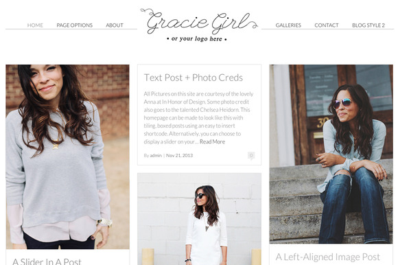 20 Hand-Picked Premium Wordpress Theme 12 Wordpress theme