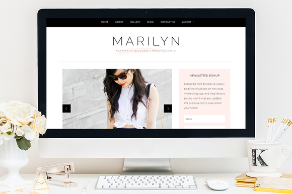 20 Hand-Picked Premium Wordpress Theme 13 Wordpress theme