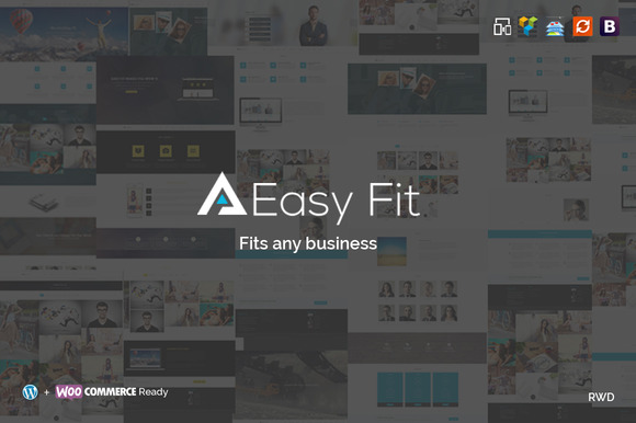 20 Hand-Picked Premium Wordpress Theme 14 Wordpress theme