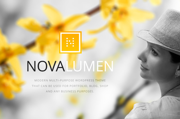 20 Hand-Picked Premium Wordpress Theme 16 Wordpress theme