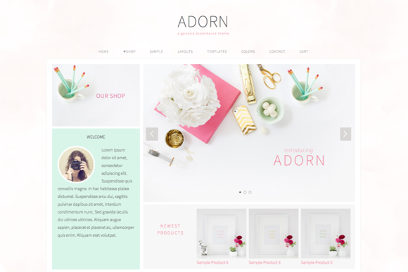 20 Hand-Picked Premium Wordpress Theme 6 Wordpress theme