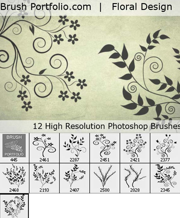 photoshop brushes