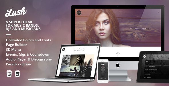 18 Creative Responsive Wordpress Theme 3 wordpress theme