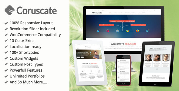 18 Creative Responsive Wordpress Theme 6 wordpress theme