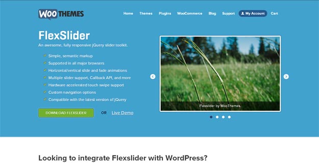 FlexSlider