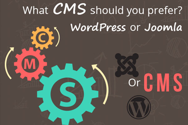 What CMS should you prefer? WordPress or Joomla