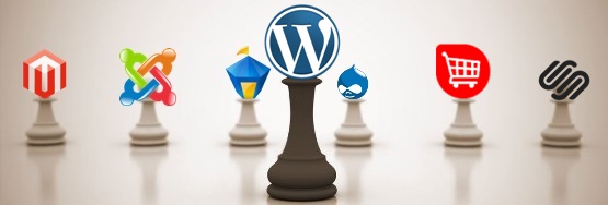 Why WordPress Has Edge over Other CMS?