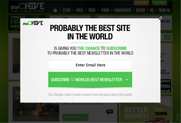The Chive