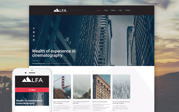 30+Design and Photography WordPress Themes of This Year 1 design