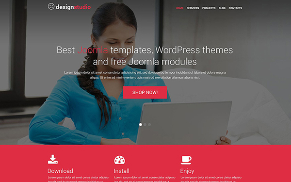 30+Design and Photography WordPress Themes of This Year 28 design