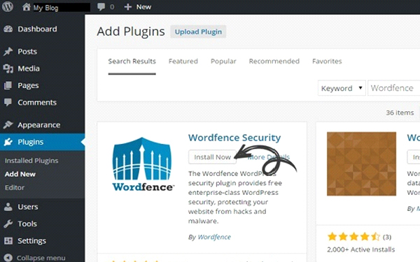 Top WordPress Plugins That Professional Web Designers Find Useful
