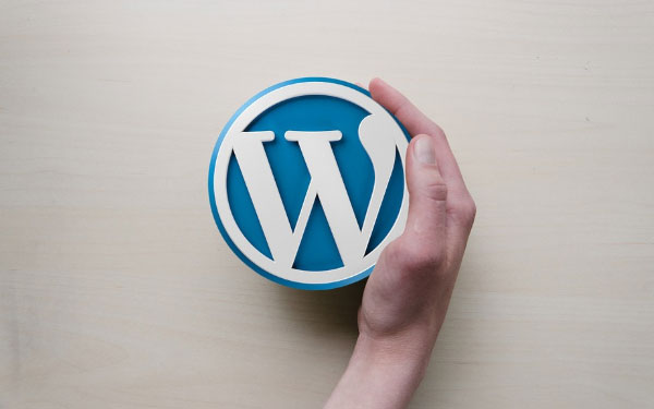 9 Most Important WordPress Plugins for eCommerce Sites