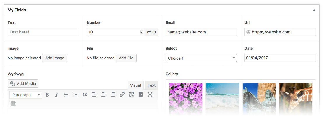 Advanced Custom Fields