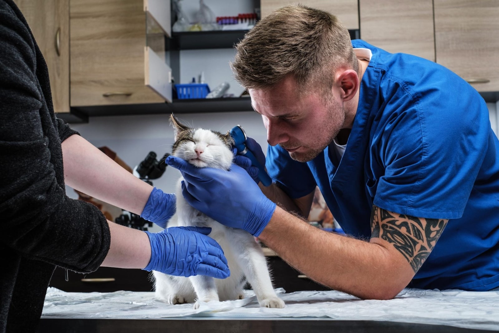 Clinical Experience